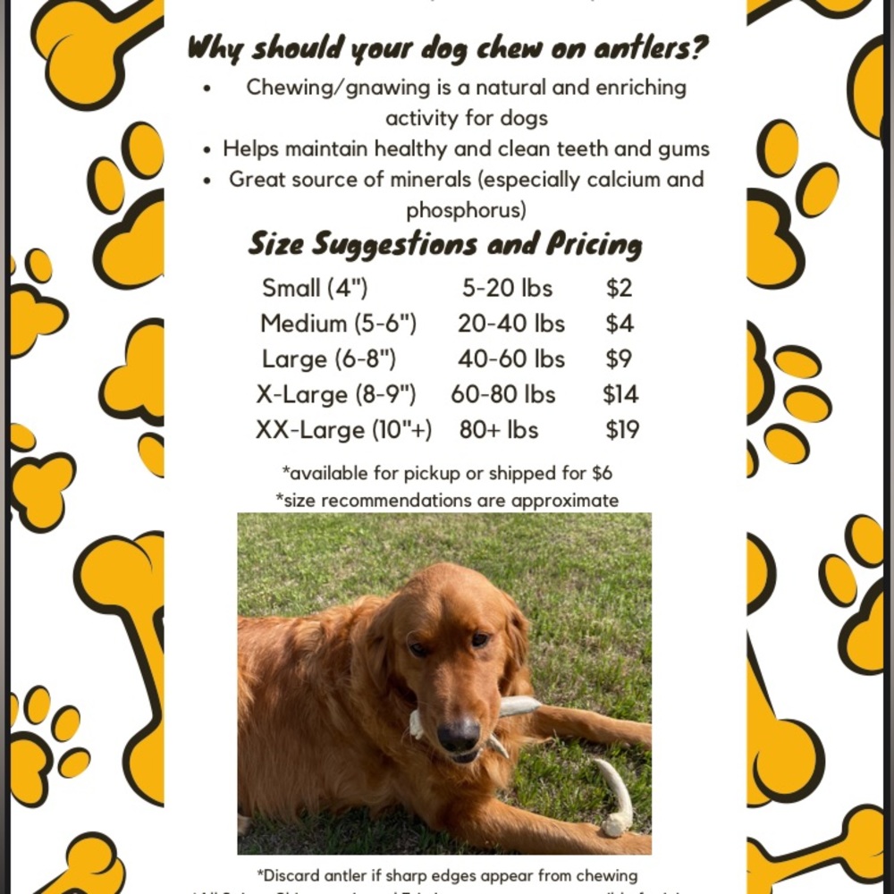 Dog antler chews!